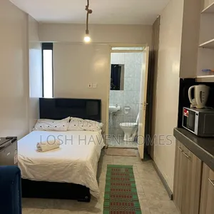 Spacious Clean and Affordable Studio Along Thika Road Roysambu