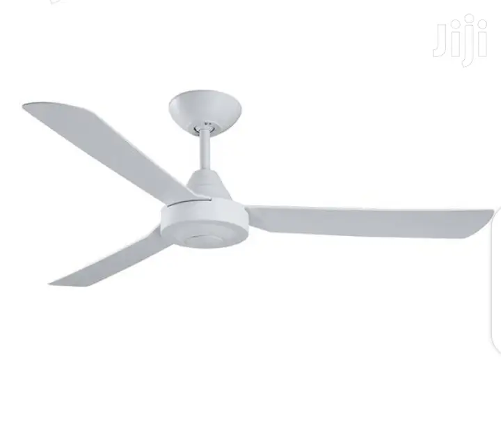 Ceiling Fans