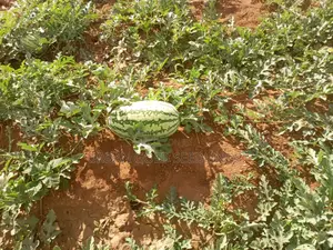 Prime Kitui Land ! Next To Thua River.