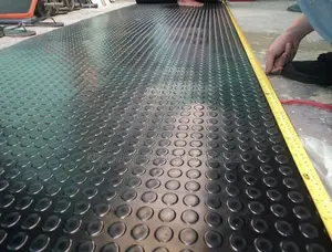 Coin Carpet Meant for Garage Floors
