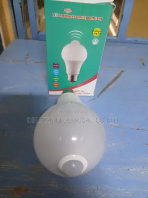 Led Sensor Bulb
