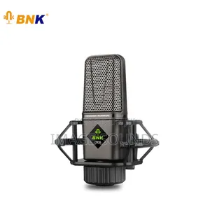 BNK Professional XLR Condenser Studio Microphone C800