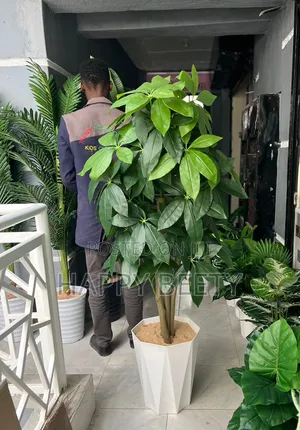 *Artificial Mango Plant With Decorative Plastic Vase Pebbles