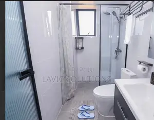 Shower Partion