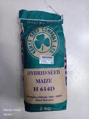 Hybrid H614d Maize Seeds 2kgs