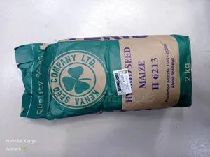 Maize Seeds Hybrid H6213 2kgs