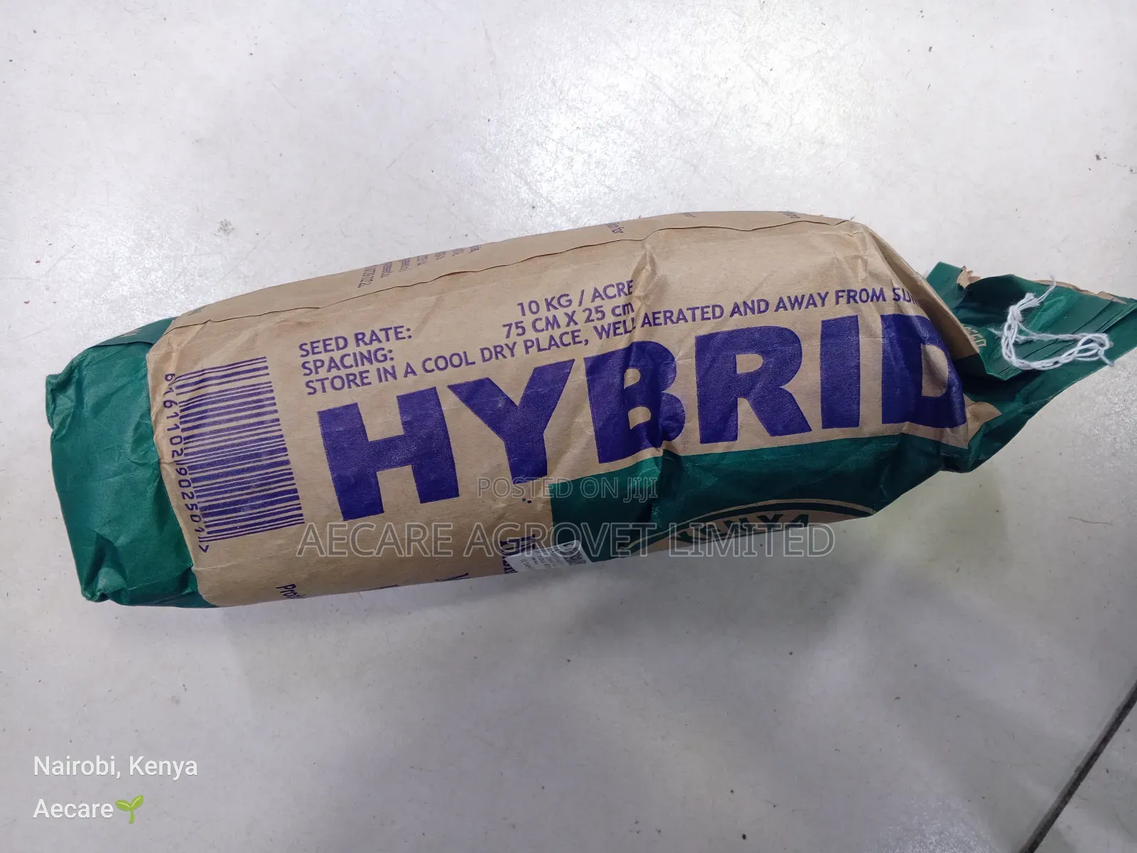 Maize Seeds Hybrid H6213 2kgs