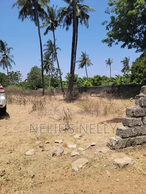 1/2 Acre for Sale Bodoi