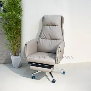Luxury Contemporary Office Director's Chair