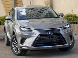 Lexus NX 300 AWD 2020 Silver