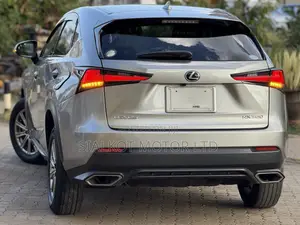 Lexus NX 300 AWD 2020 Silver