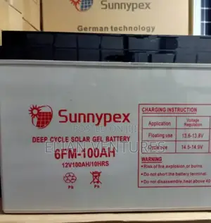 Top Brand 100 Ah Sunnypex Battery