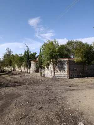 100*120 Plot for Sale in Ruai Block 2kms From Kangundo Road.