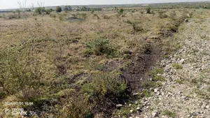 Kitengela Millimani