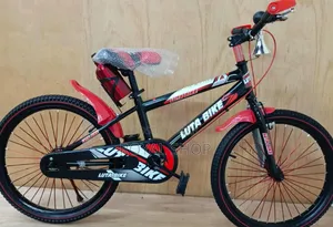 Bike Size 20.