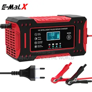 Universal 12v Car Battery Pulse Charger