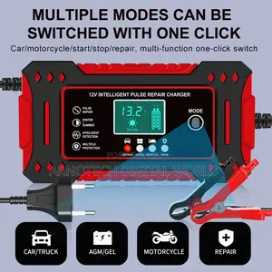 12v Battery Pulse Charger