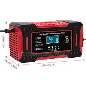 12v Battery Pulse Charger