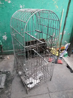 Parrot Cage For Sale