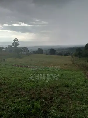 100*100 Plots for Sale 1/4 Plots for Sale Lanet, Dundori