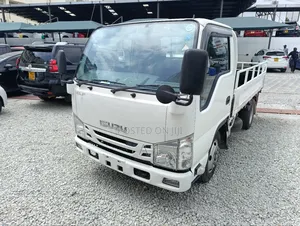 Isuzu Elf With Leaf Springs 2018 White