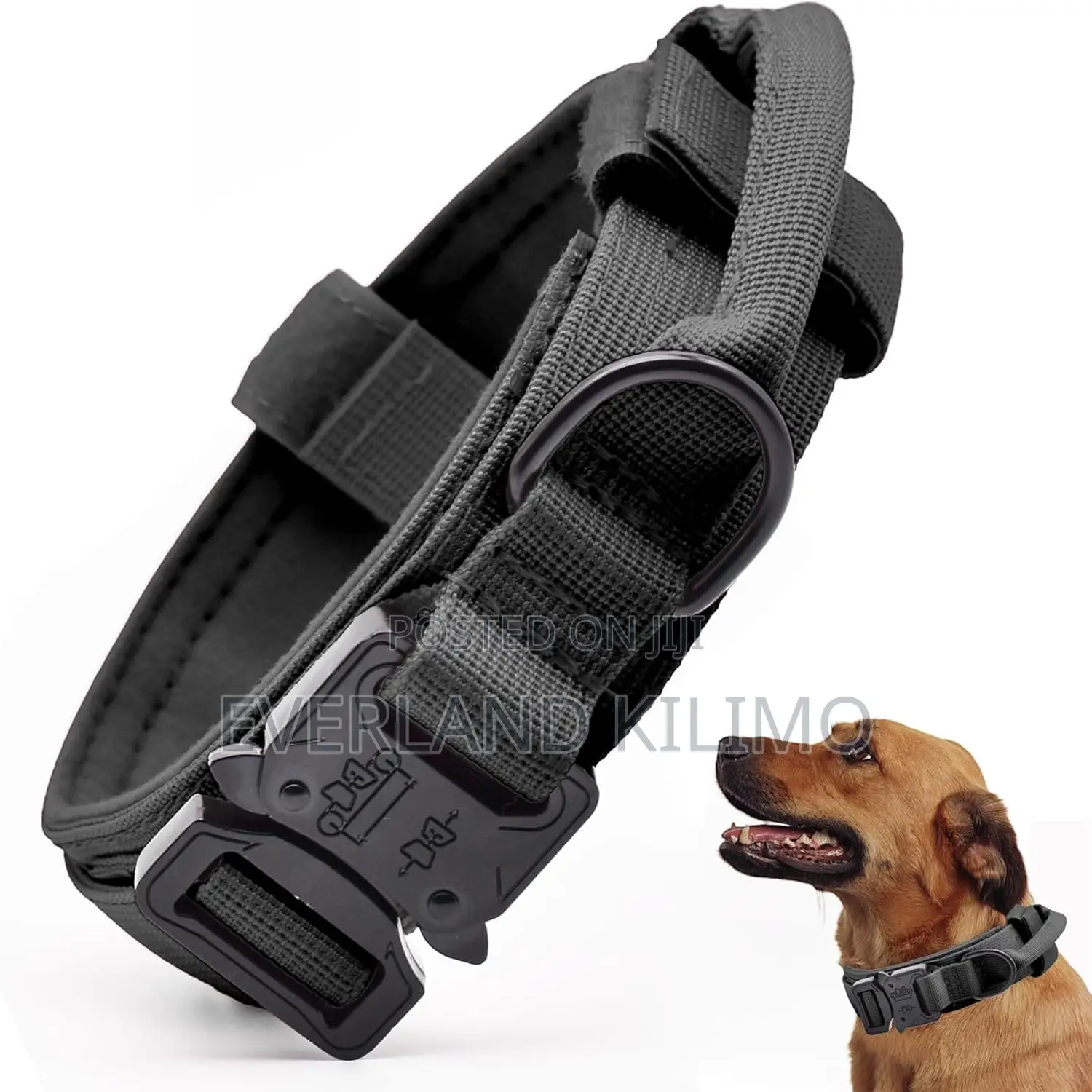 Upgrade Tactical Dog Collar