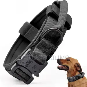 Upgrade Tactical Dog Collar