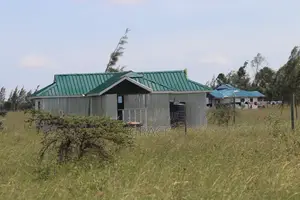 Prime 1/8 Acre Plots for Sale – Amani Mooi, Kisaju