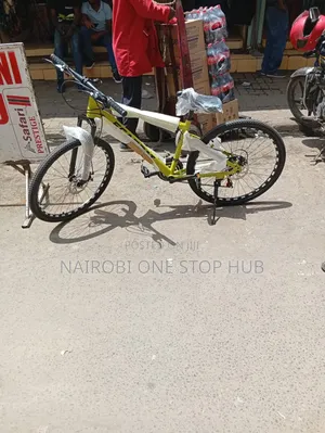 Ecarpat Mountain Bike With Gear