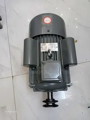 STCL 5hp High Speed Motor 2900rpm- Single Phase