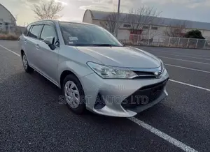 Toyota Corolla Fielder 2019