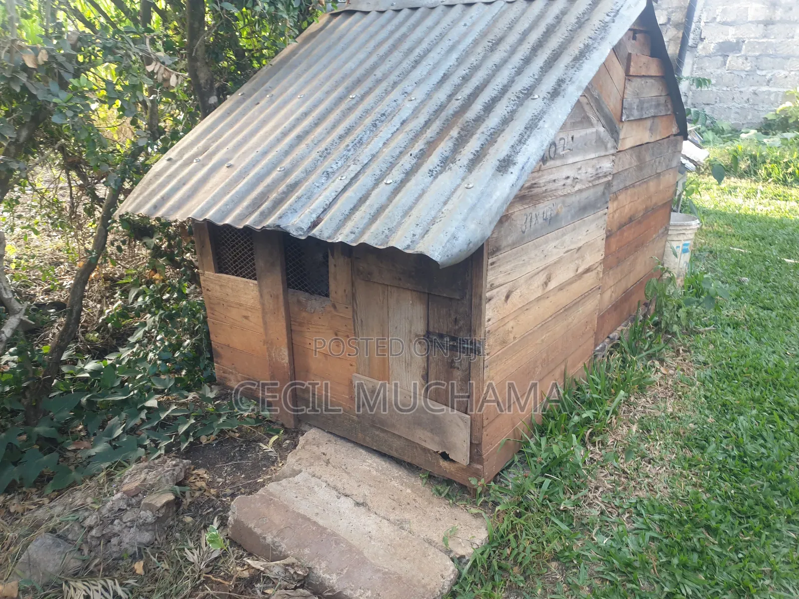 Dog Kennel