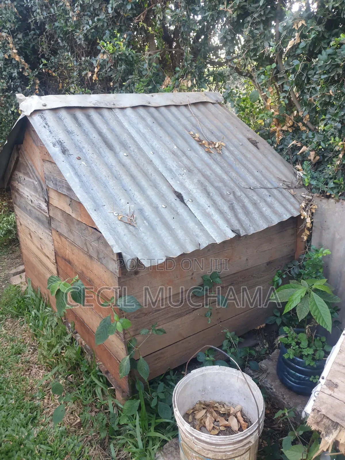 Dog Kennel