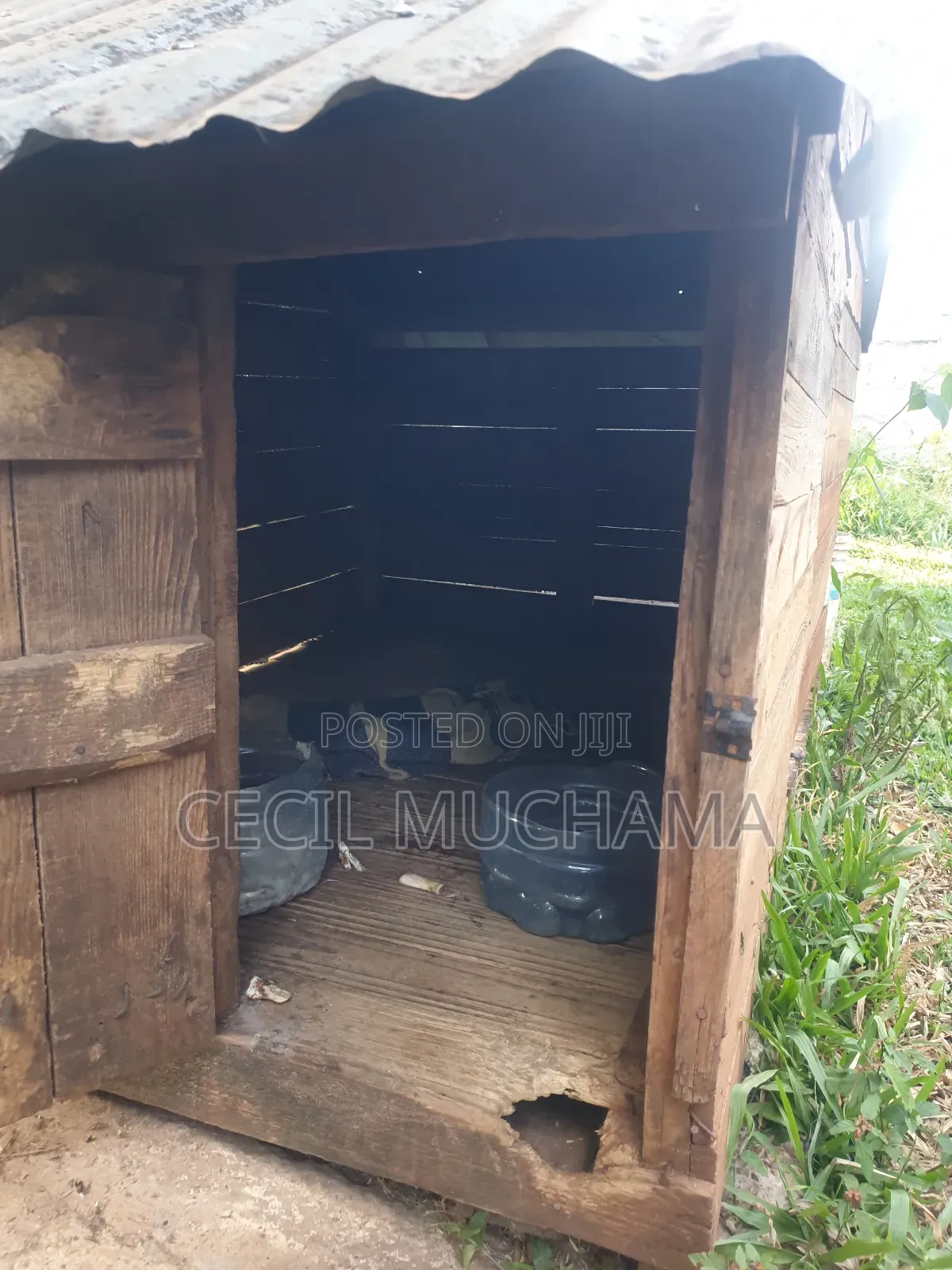 Dog Kennel