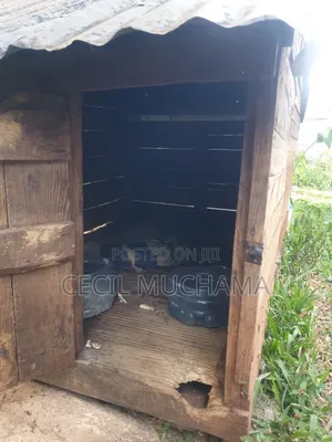 Dog Kennel