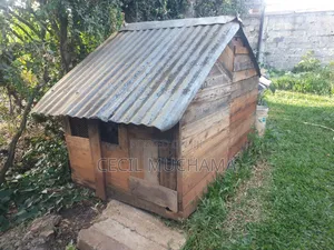 Dog Kennel