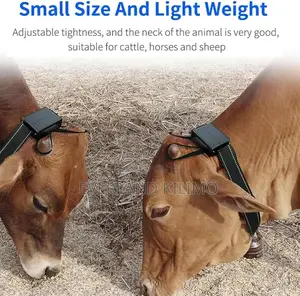 Solar Animal Gps Tracker