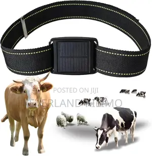 Anti-lost Animal Gps Tracker
