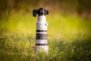 Canon Rf 100-300mm