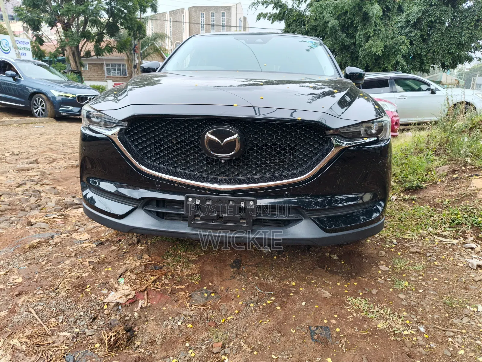 Car Rentals Services
