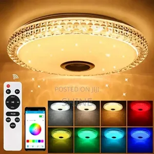 Bluetooth Speaker Ceiling Light