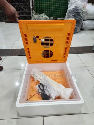 64 Eggs Capacity Incubator
