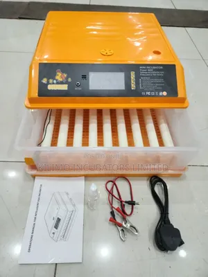 64 Eggs Capacity Incubator