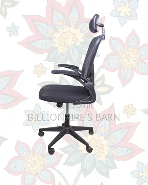 Ergonomic Work Chair for Home and Office | Neat Professional Look