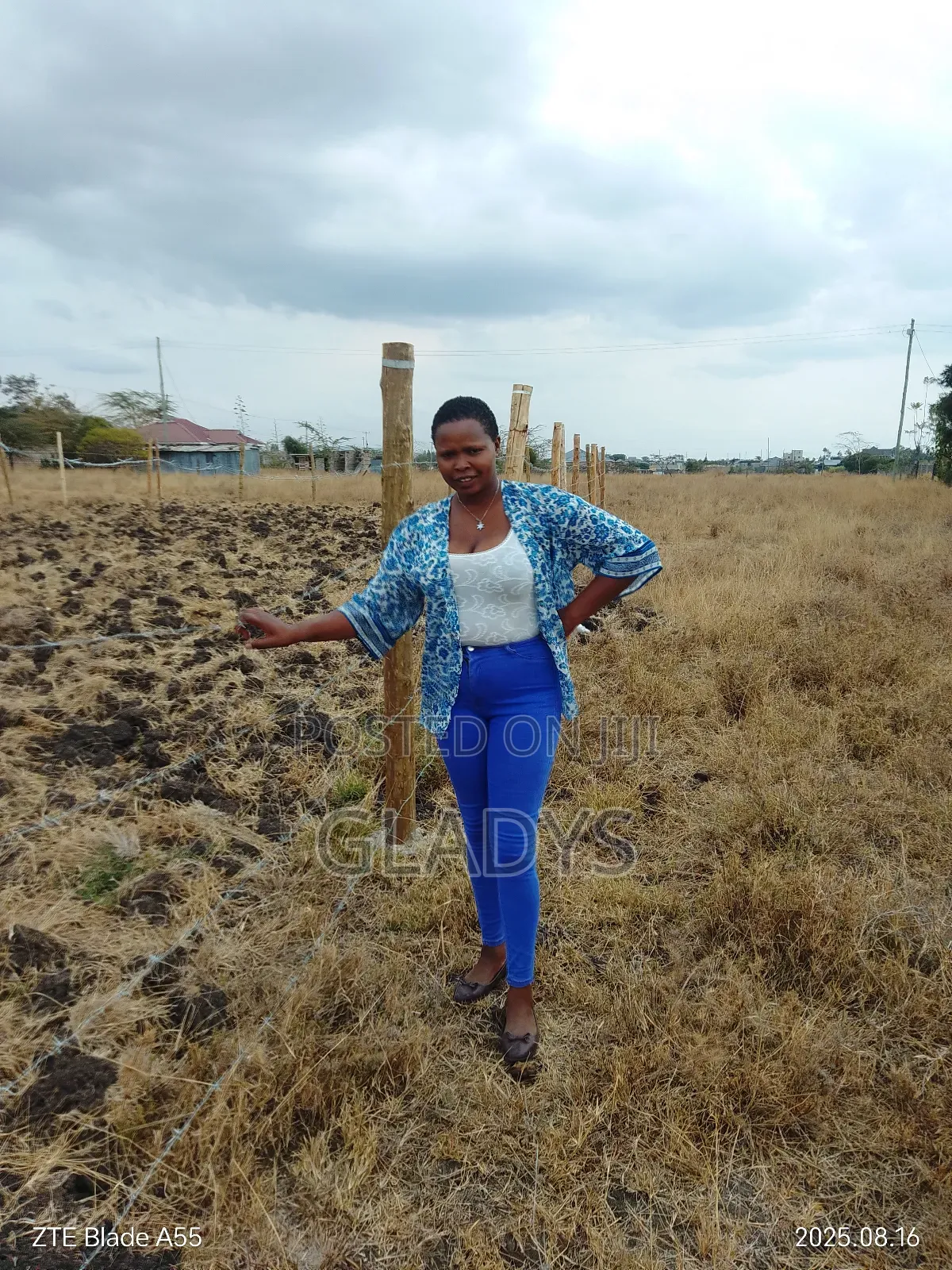 Selling Plot