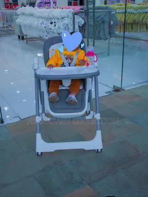 2 in 1 Swing Feeding Chair