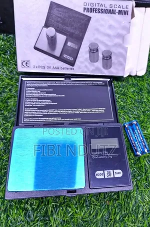 Professional Weighing Scale/Mini Pocket Scale