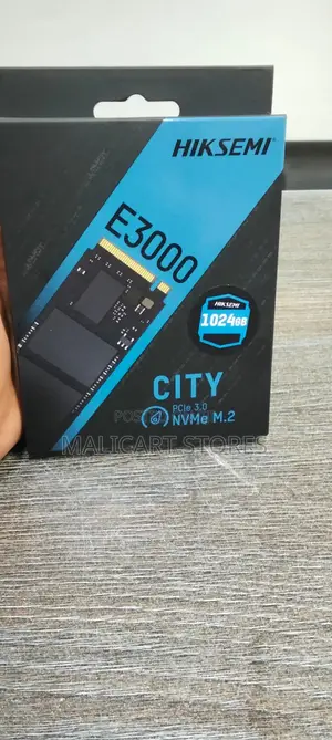 Hiksemi E3000 City M.2 Nvme 1024gb