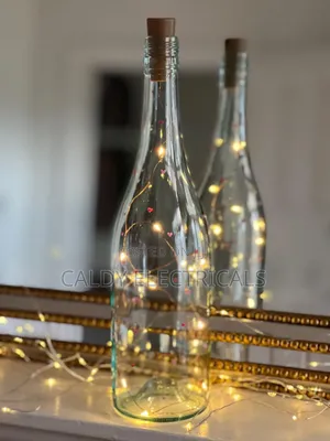 Beautiful Design Decorative Wine Bottle Fairy Light Ht5