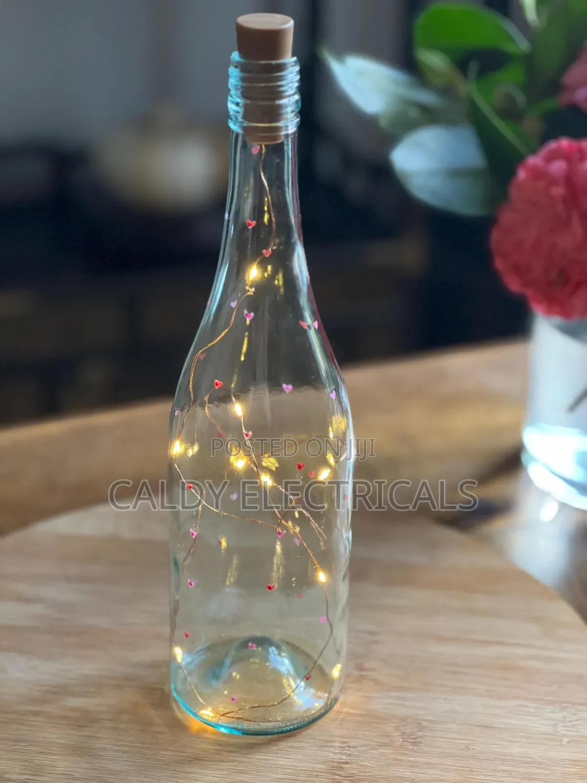 Elegant Modern Decorative Wine Bottle Fairy Light Fw2